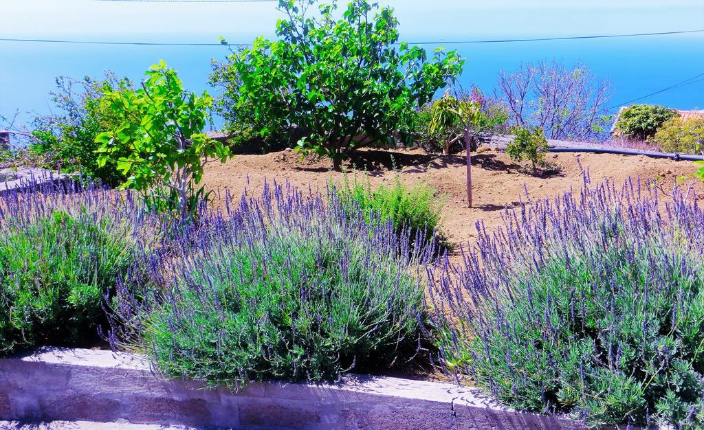 מלון ריביירה בראבה Quinta Do Cabouco מראה חיצוני תמונה